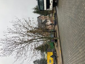 Administrativní budova Padas